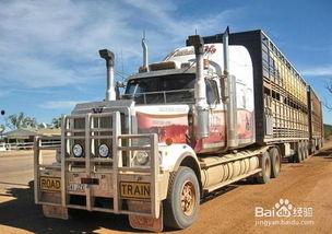 欧美顶级女卡车视频,驾驭巨兽的巾帼英雄