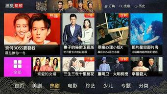 欧美快播视频,揭秘热门视频背后的精彩故事