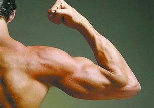肌肉男欧美巨星视频,健身狂潮下的健美传奇