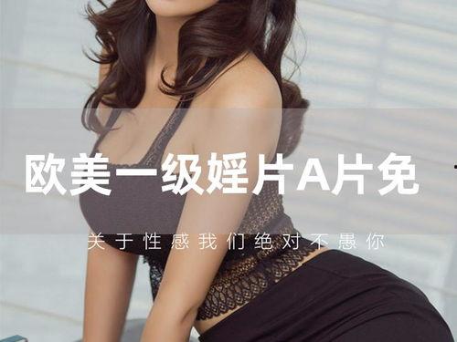 欧美h视频a,揭秘热门题材与受众喜好