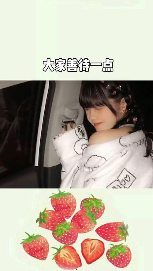 欧美乱谣视频,真相与误解的交织