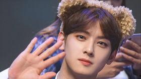 欧美歌曲告白视频大全,浪漫旋律中的甜蜜告白集锦