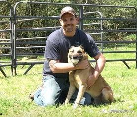 欧美警犬抓捕视频大全,英勇无畏，守护正义