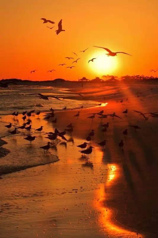 黄昏视频音乐唯美欧美,唯美音乐视频赏析