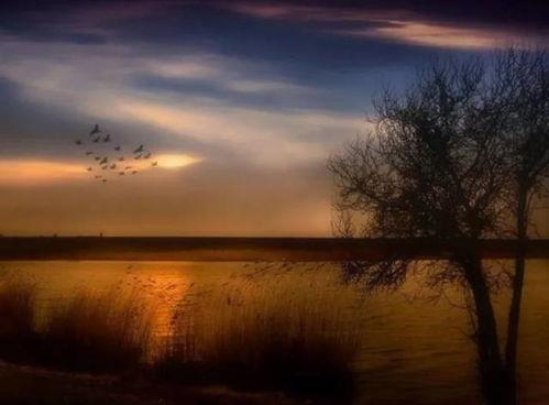 黄昏视频音乐唯美欧美,唯美音乐视频赏析