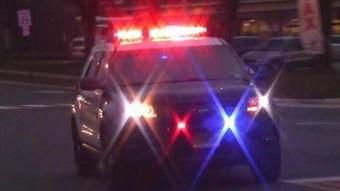 欧美警车出警视频大全,惊险刺激的执法现场大盘点