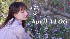 欧美小美女跳舞视频