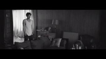 欧美野炮视频在线播放,震撼视听体验尽在其中