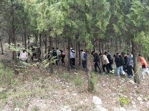 欧美野外学校视频