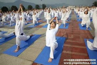 瑜伽健身 欧美视频网站